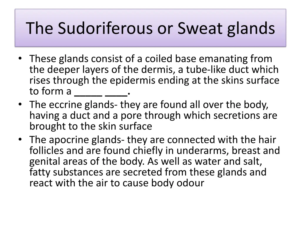 the sudoriferous or sweat glands