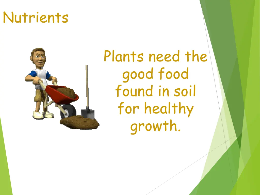 nutrients