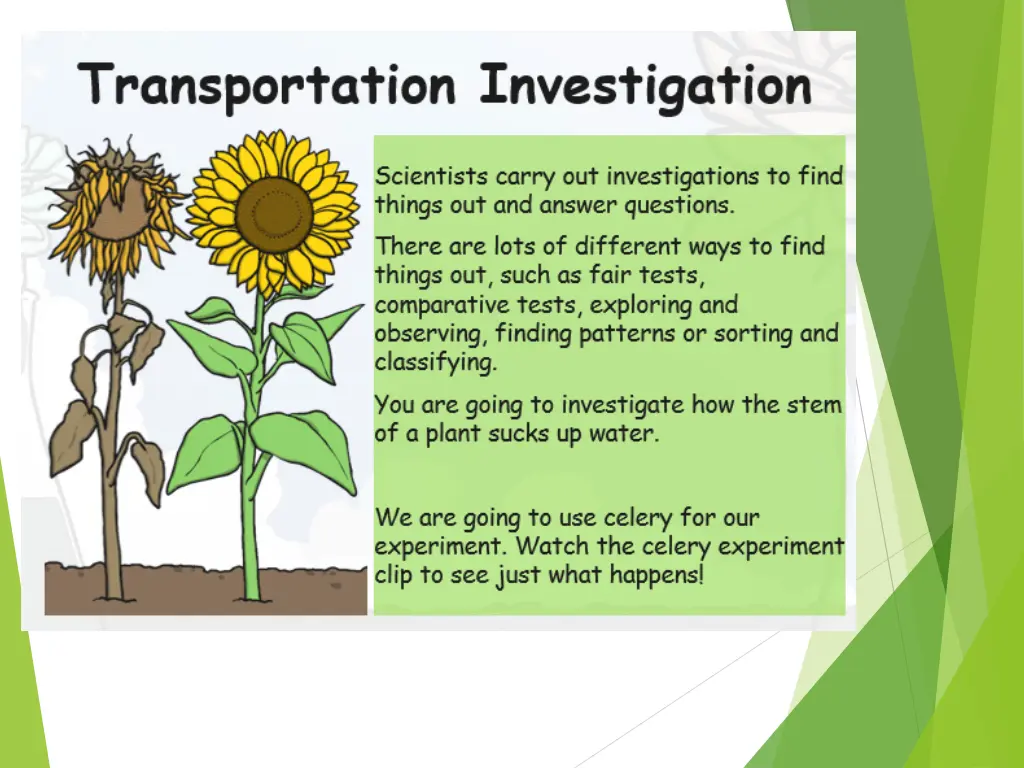 slide10