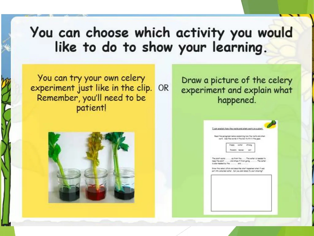 slide11