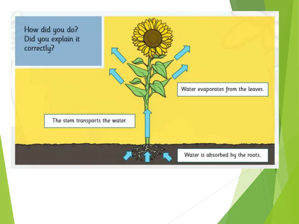 slide9