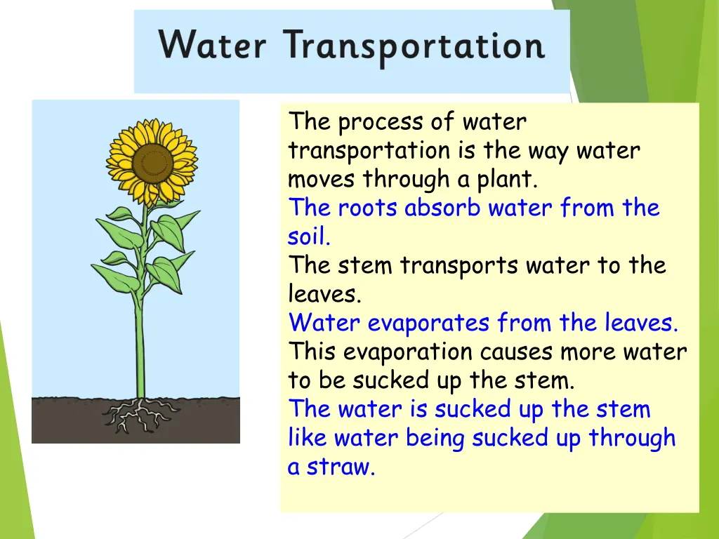 the process of water transportation