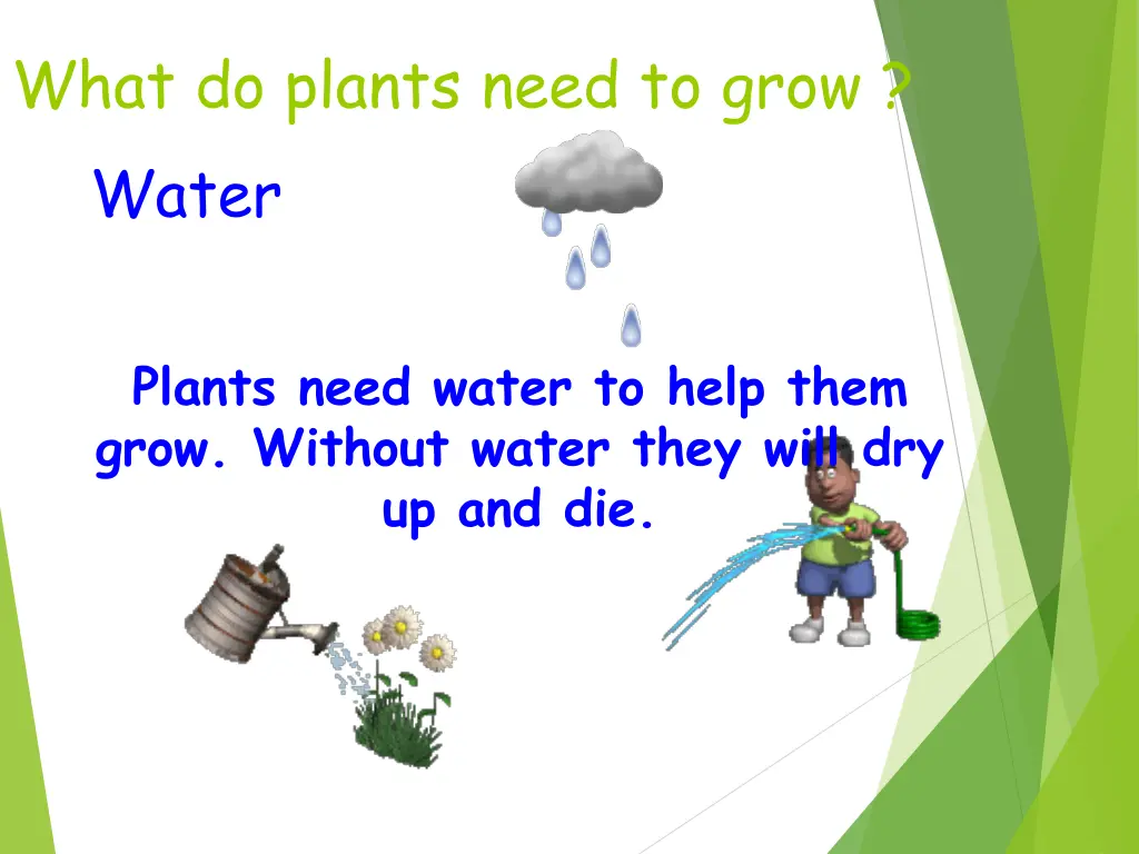 what do plants need to grow water