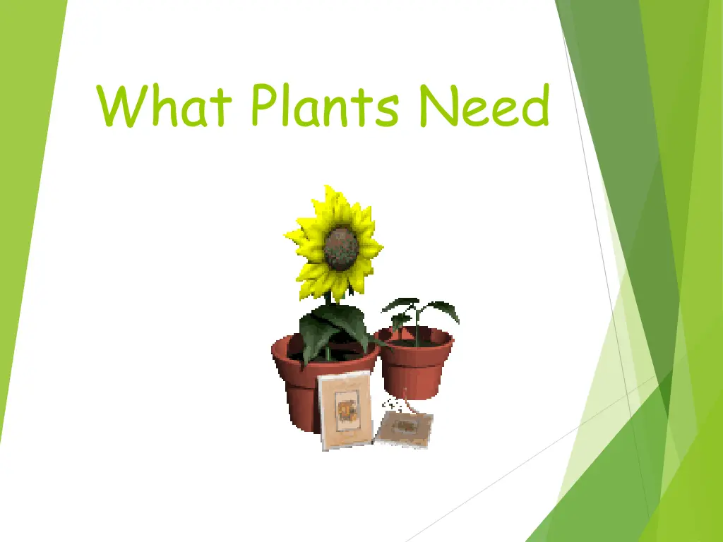 what plants need