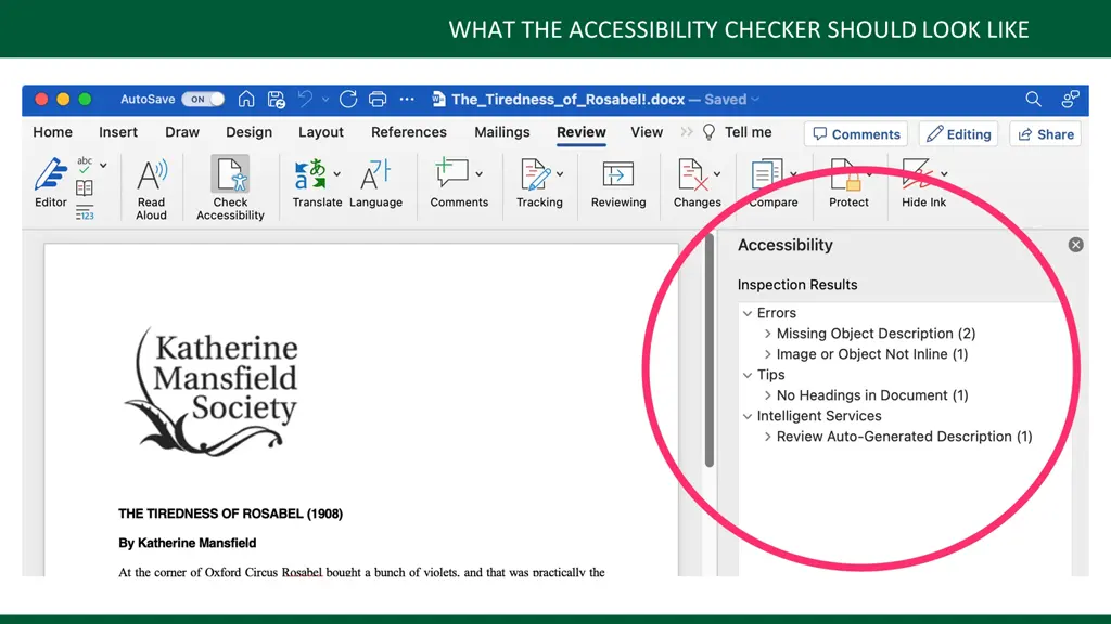 what the accessibility checker should look like