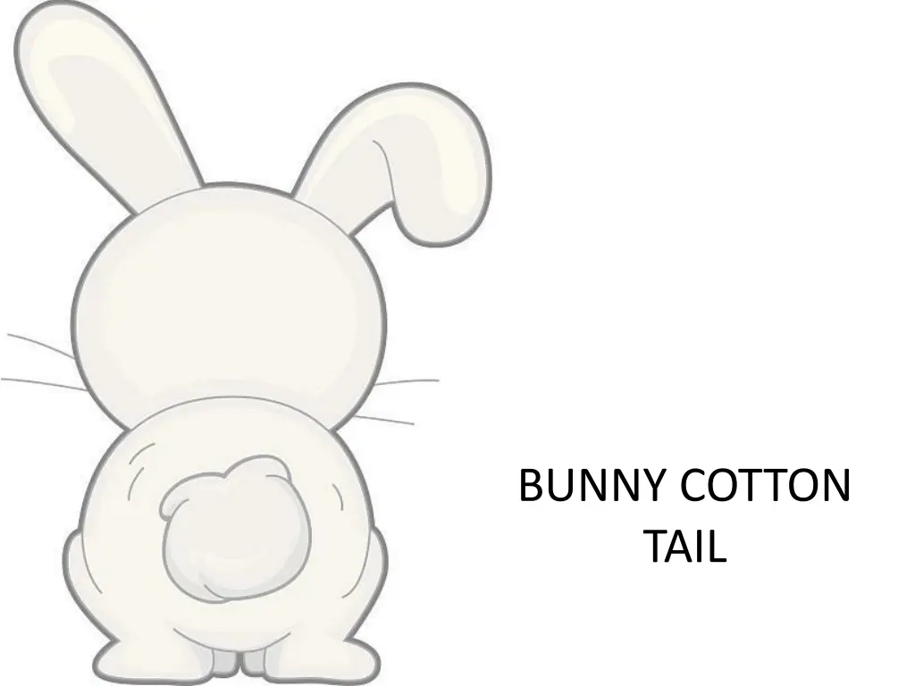 bunny cotton tail