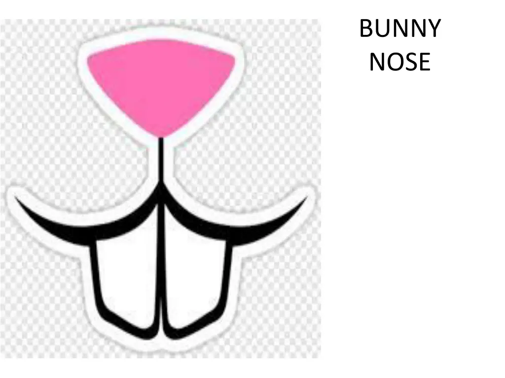 bunny nose