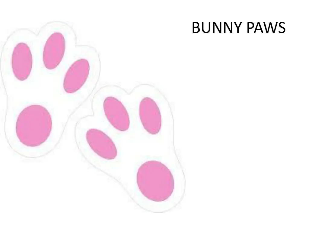 bunny paws