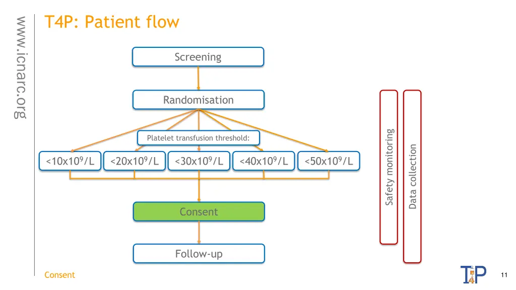 t4p patient flow