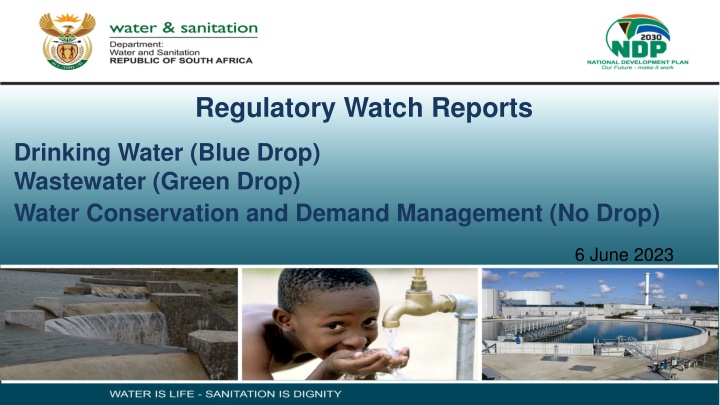 regulatory watch reports