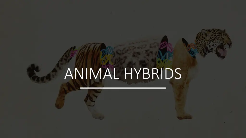 animal hybrids