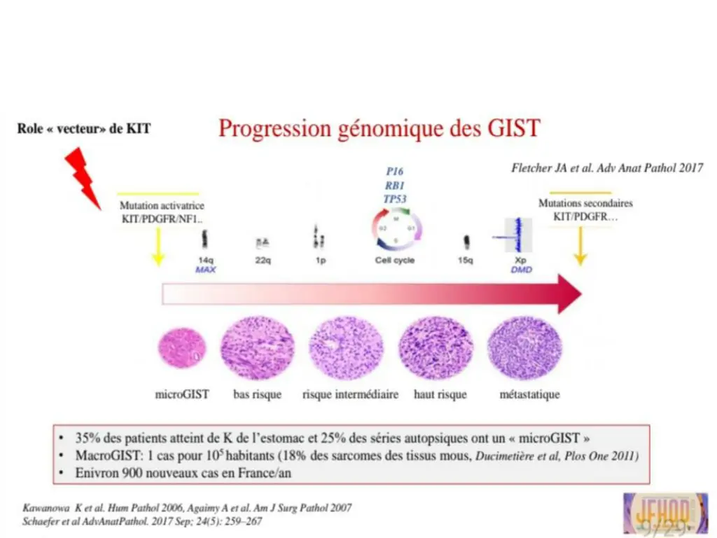 slide6
