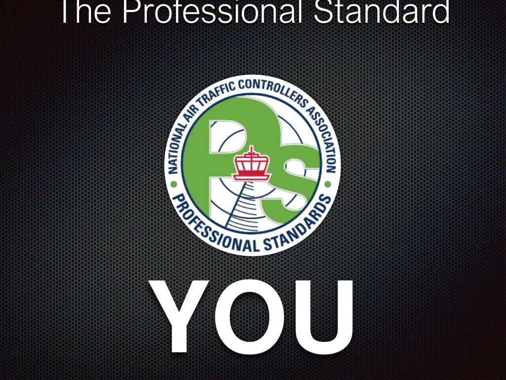 the professional standard
