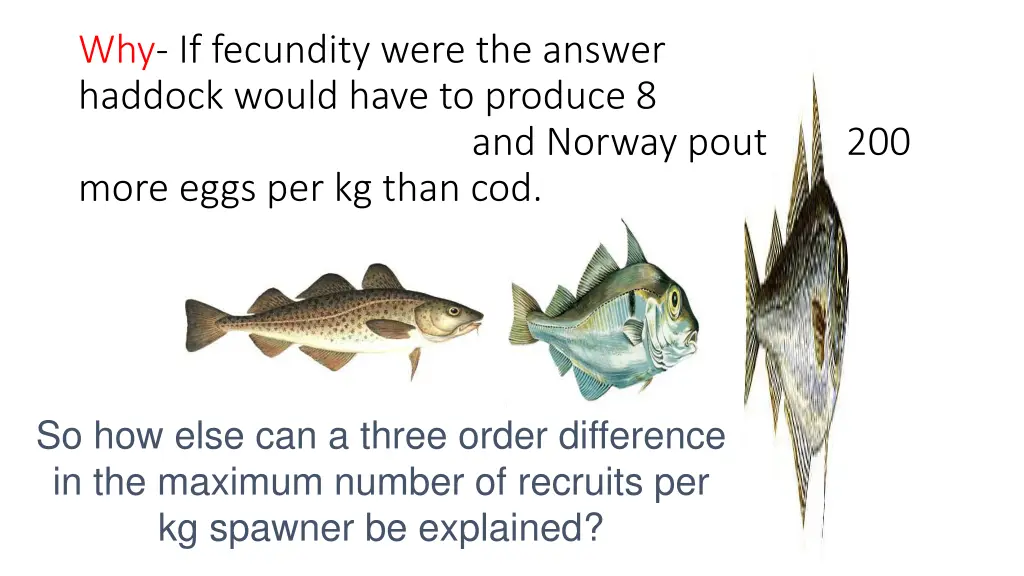 why if fecundity were the answer haddock would
