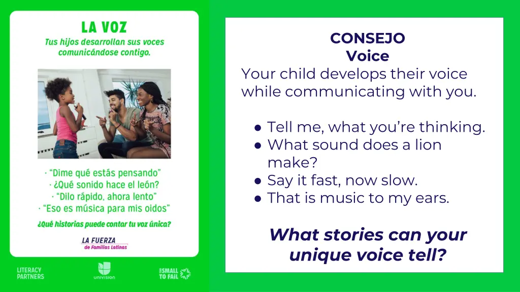 consejo voice