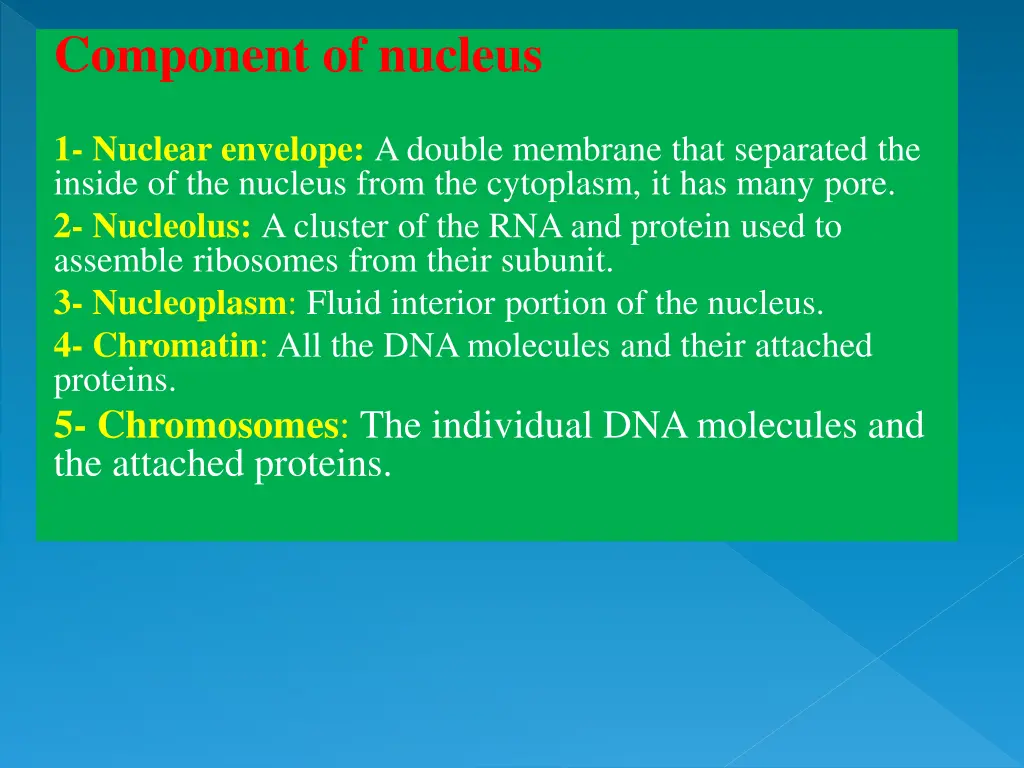 component of nucleus