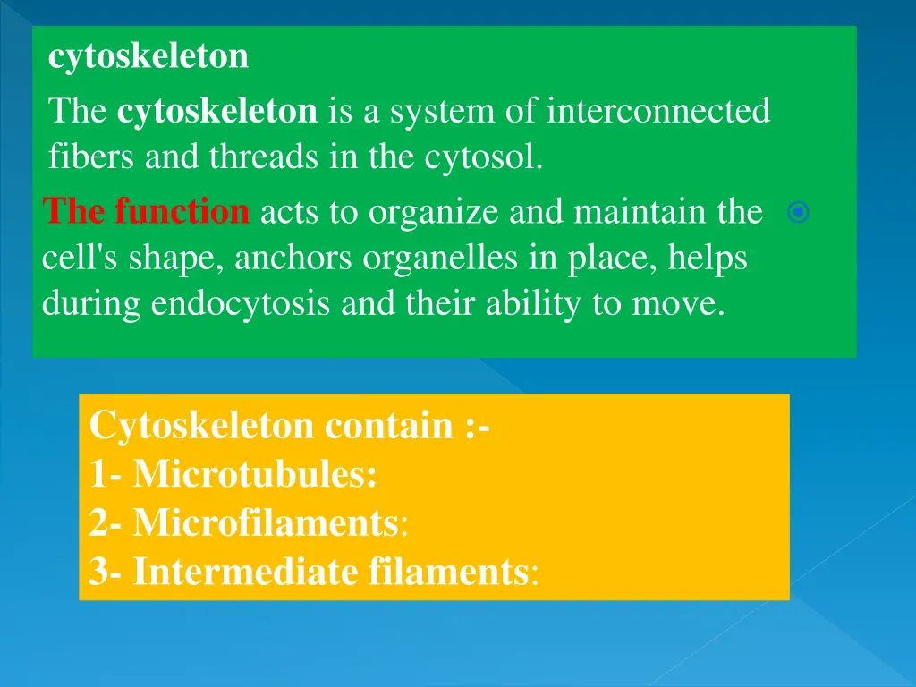 cytoskeleton the cytoskeleton is a system