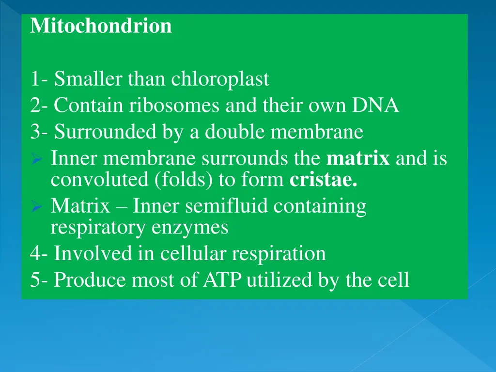 mitochondrion