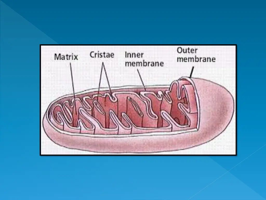 slide10
