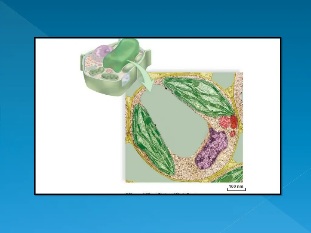 slide14