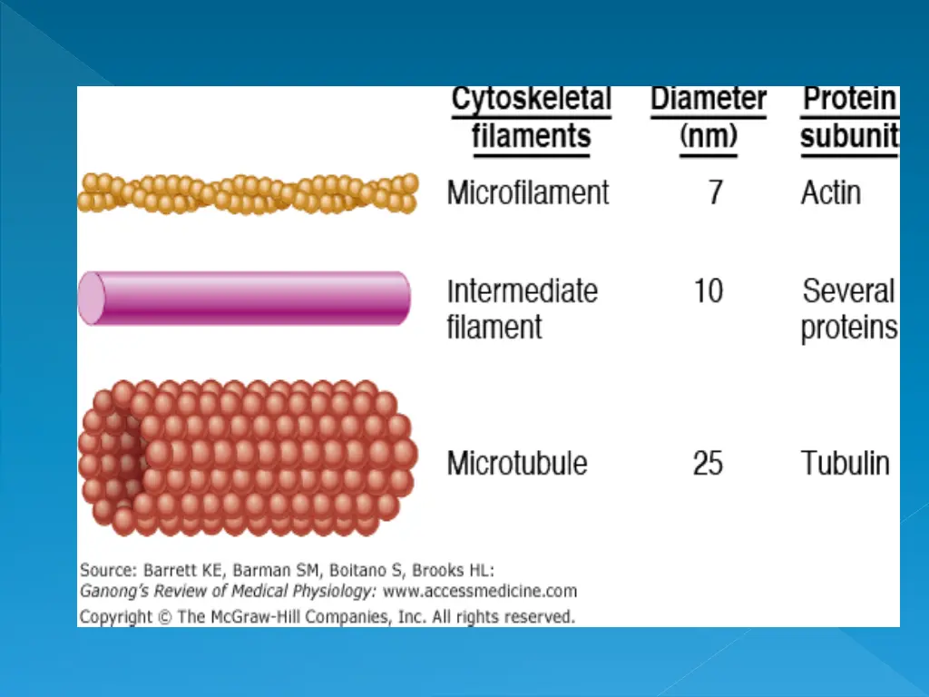 slide17