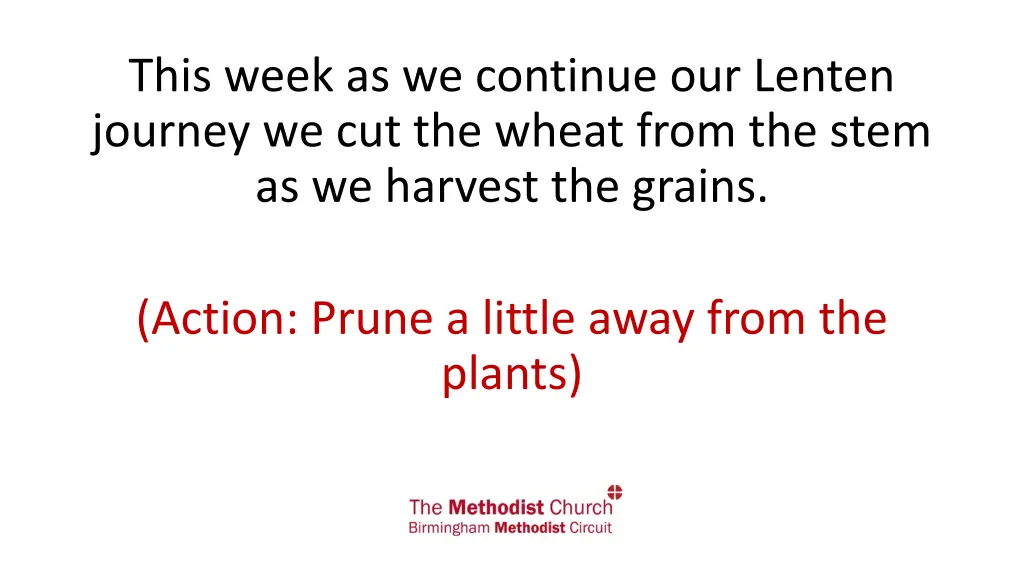 this week as we continue our lenten journey 1