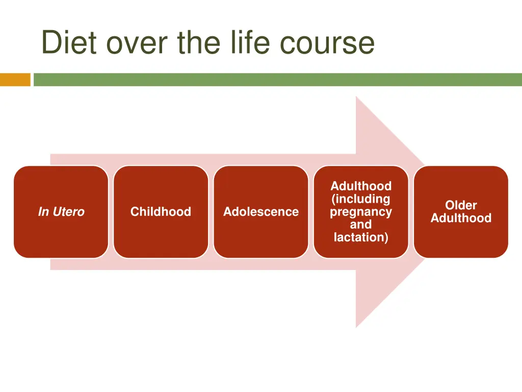 diet over the life course
