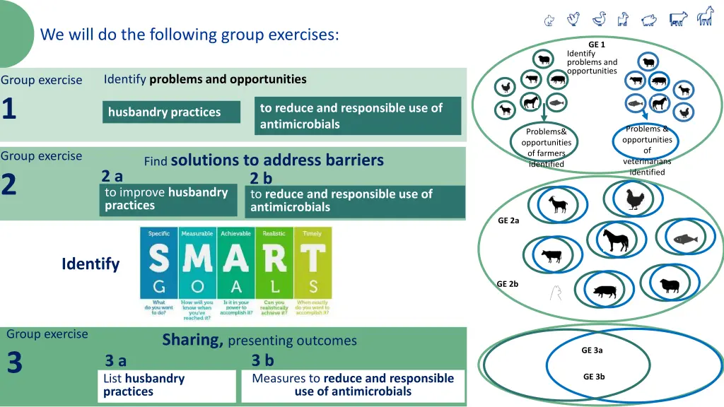 we will do the following group exercises