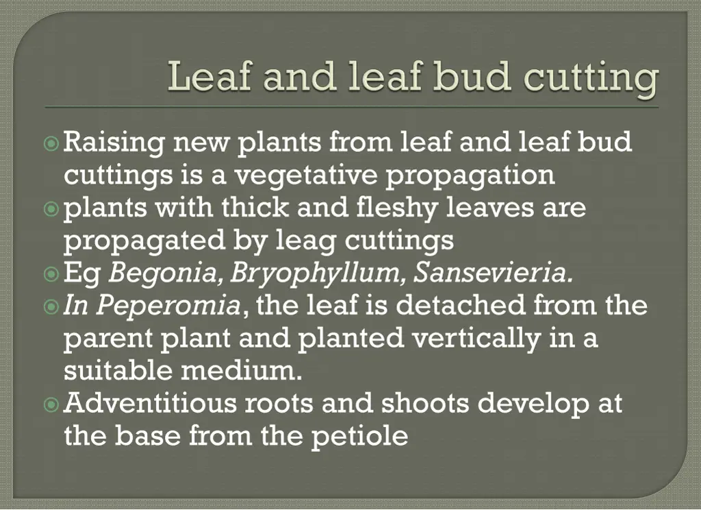 raising new plants from leaf and leaf