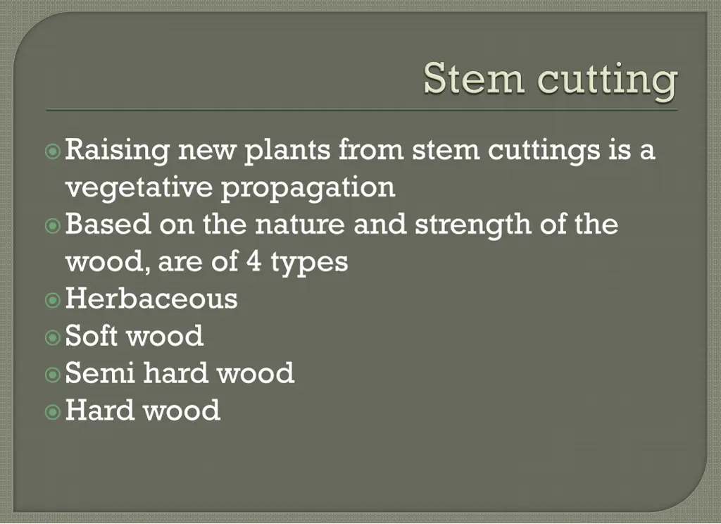 raising new plants from stem cuttings