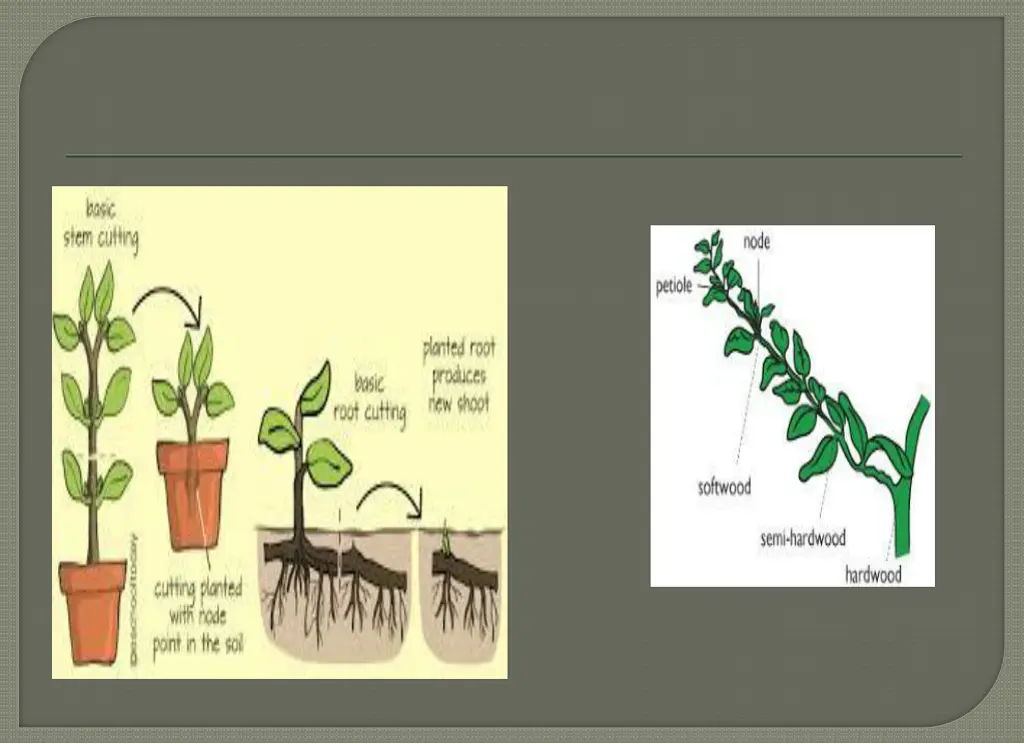 slide9