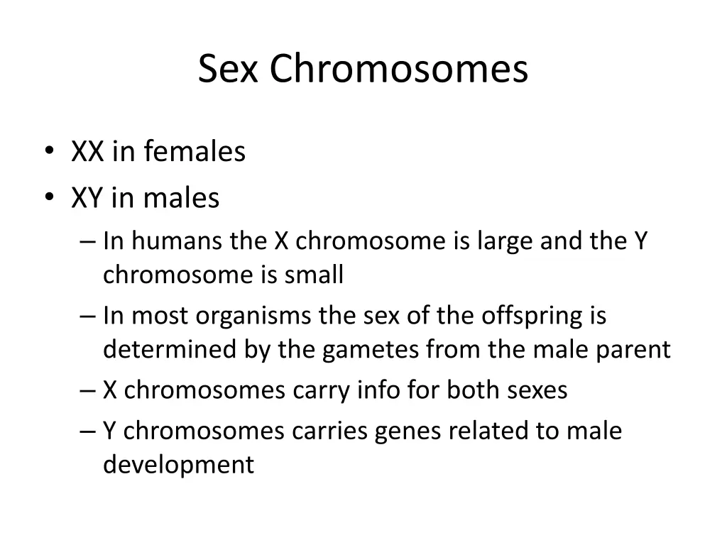sex chromosomes