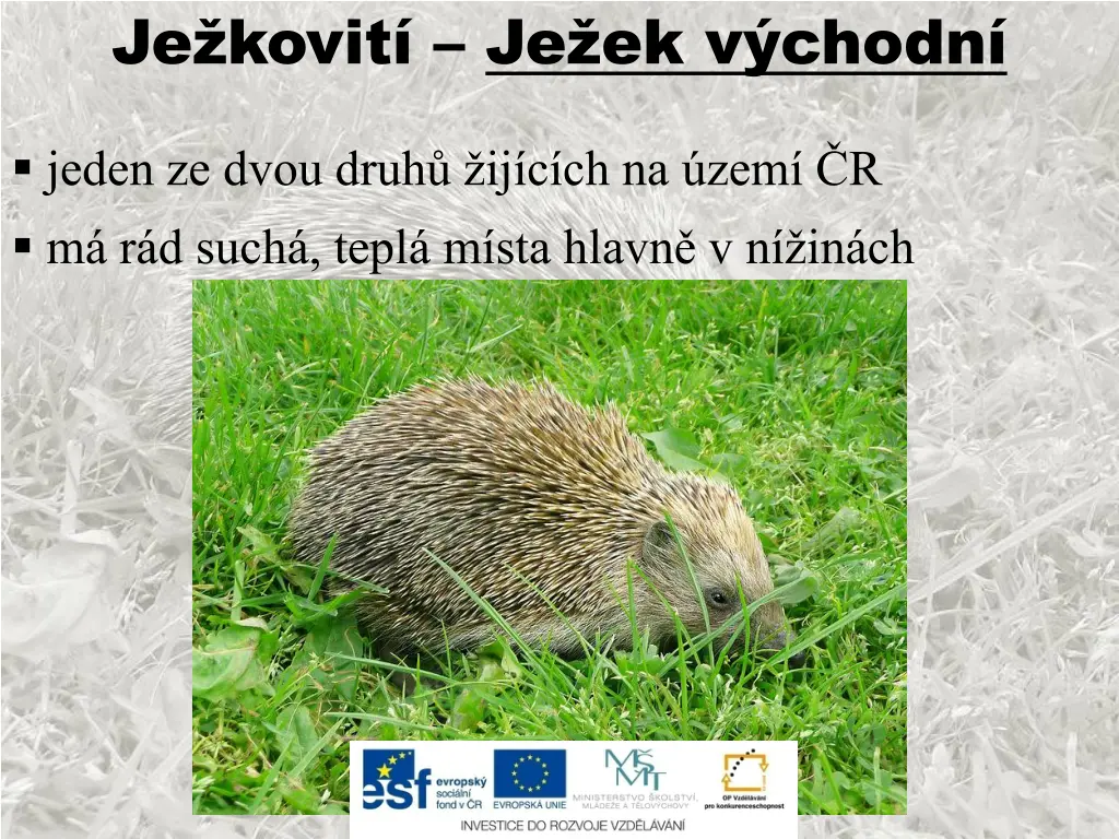 je kovit je ek v chodn
