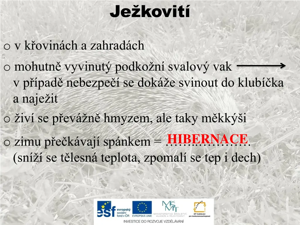 je kovit