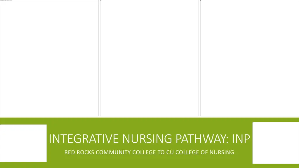 integrative nursing pathway inp