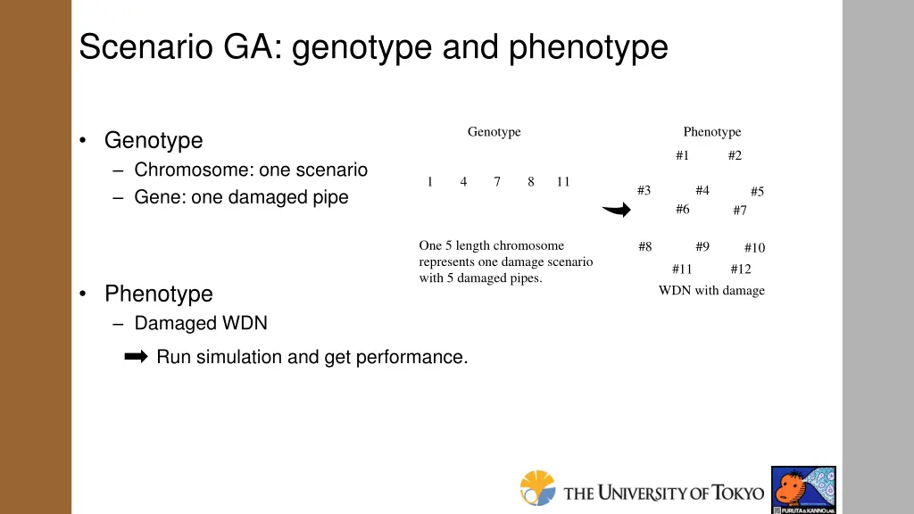 scenario ga genotype and phenotype