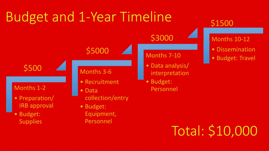 budget and 1 year timeline