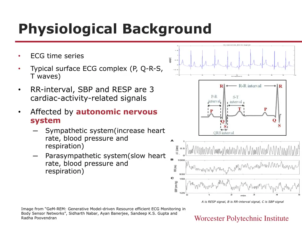 physiological background