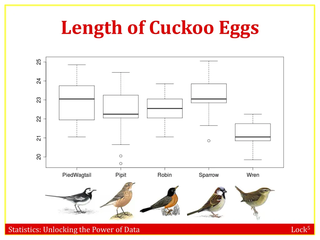 length of cuckoo eggs