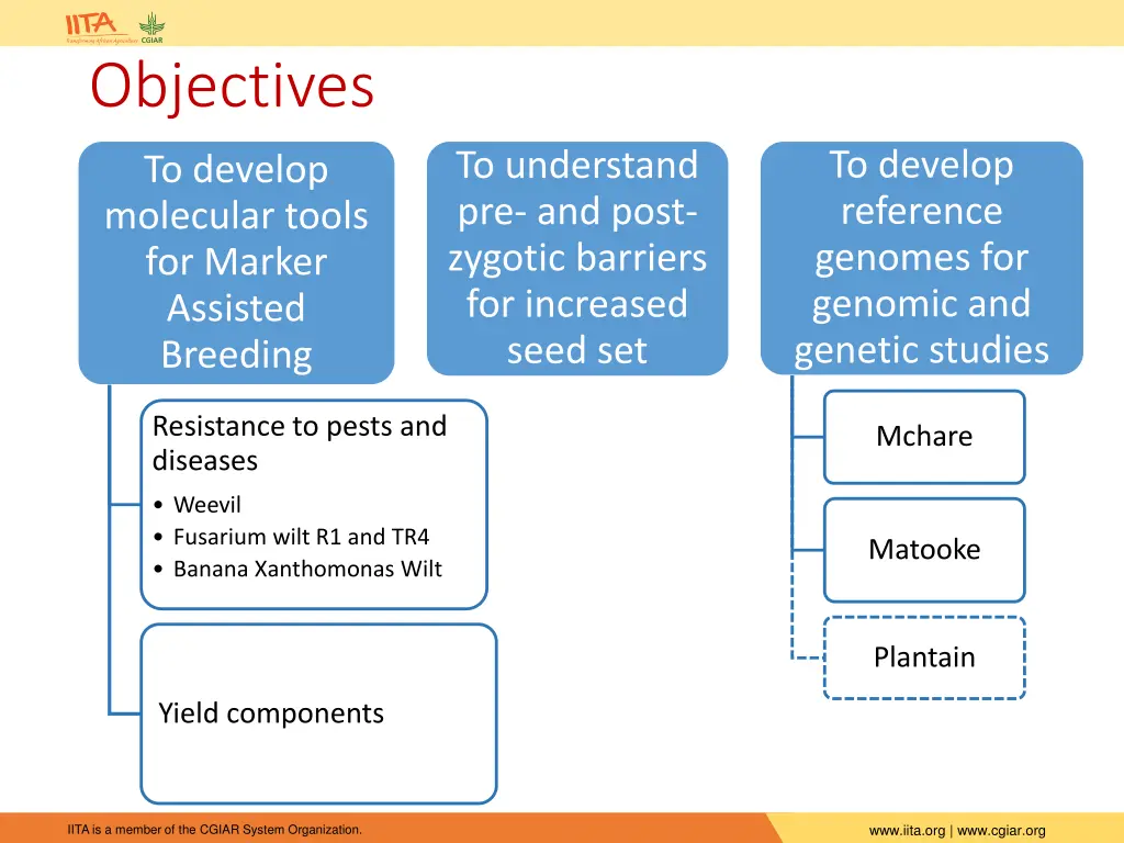 objectives