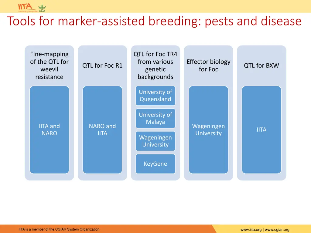 tools for marker assisted breeding pests