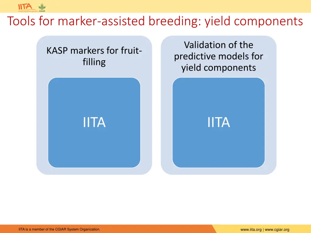 tools for marker assisted breeding yield