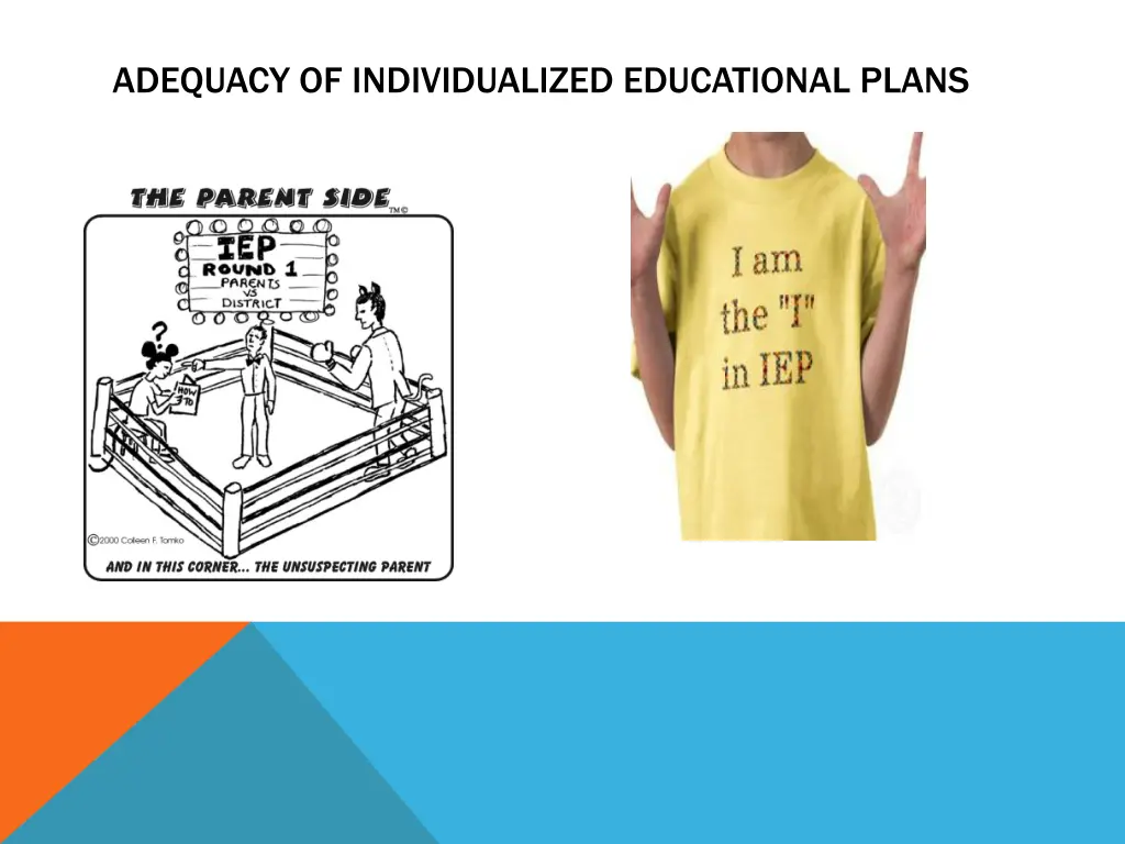 adequacy of individualized educational plans