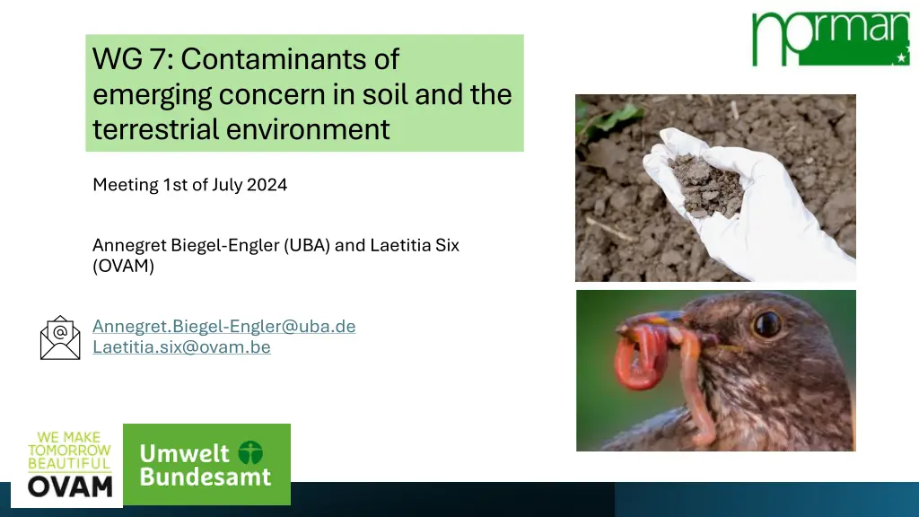 wg 7 contaminants of emerging concern in soil