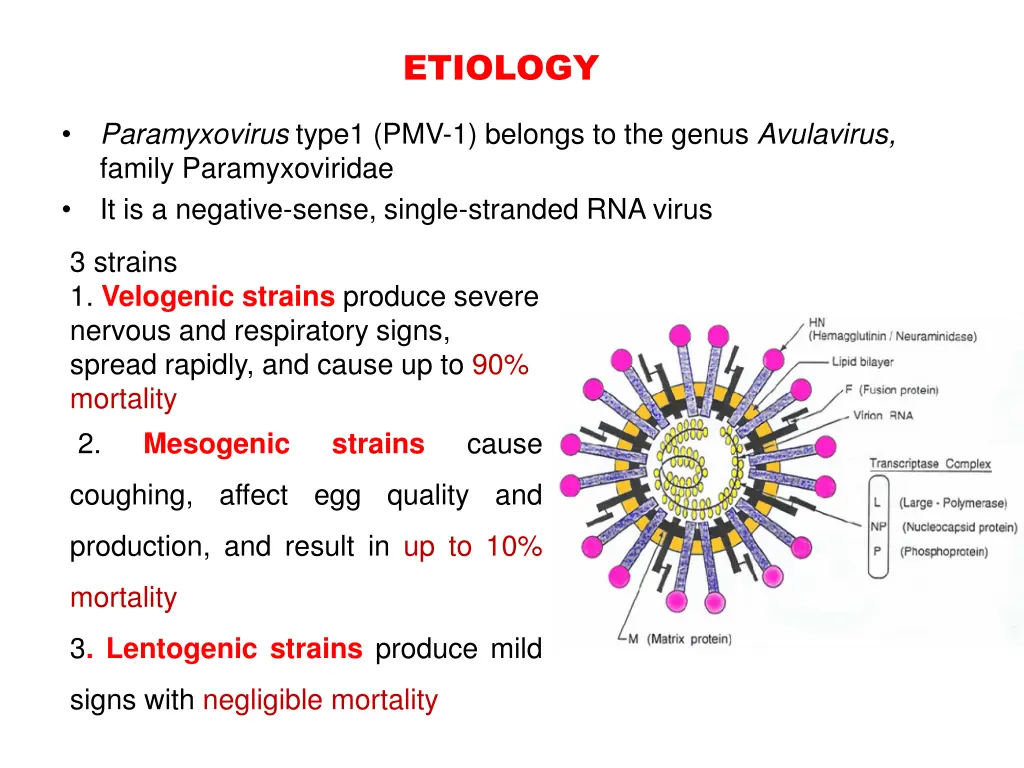 etiology