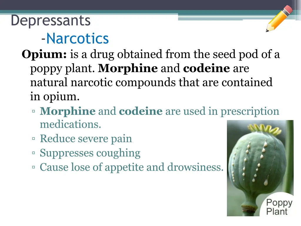 depressants narcotics opium is a drug obtained