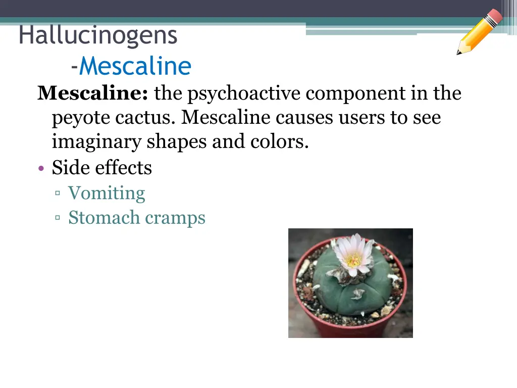 hallucinogens mescaline mescaline
