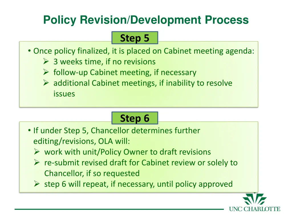 policy revision development process 1