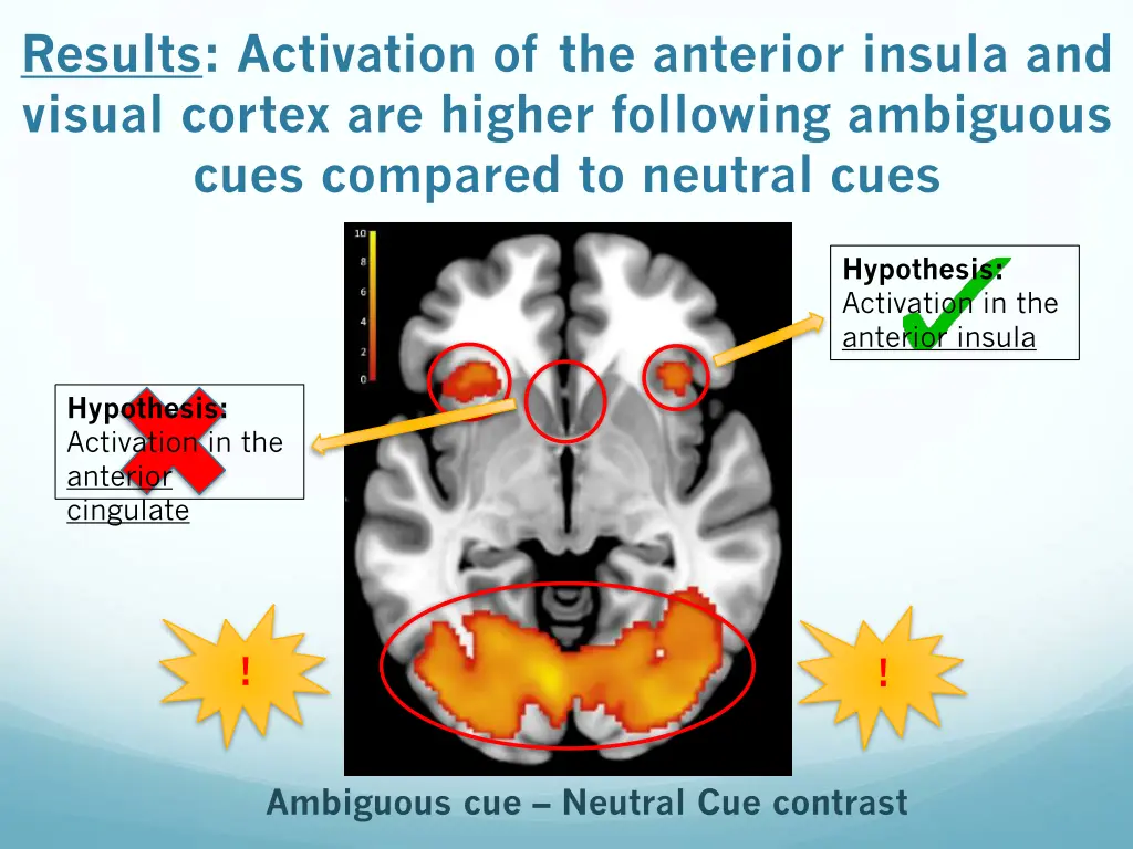 results activation of the anterior insula