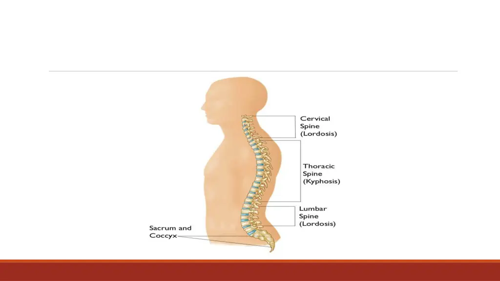 slide3